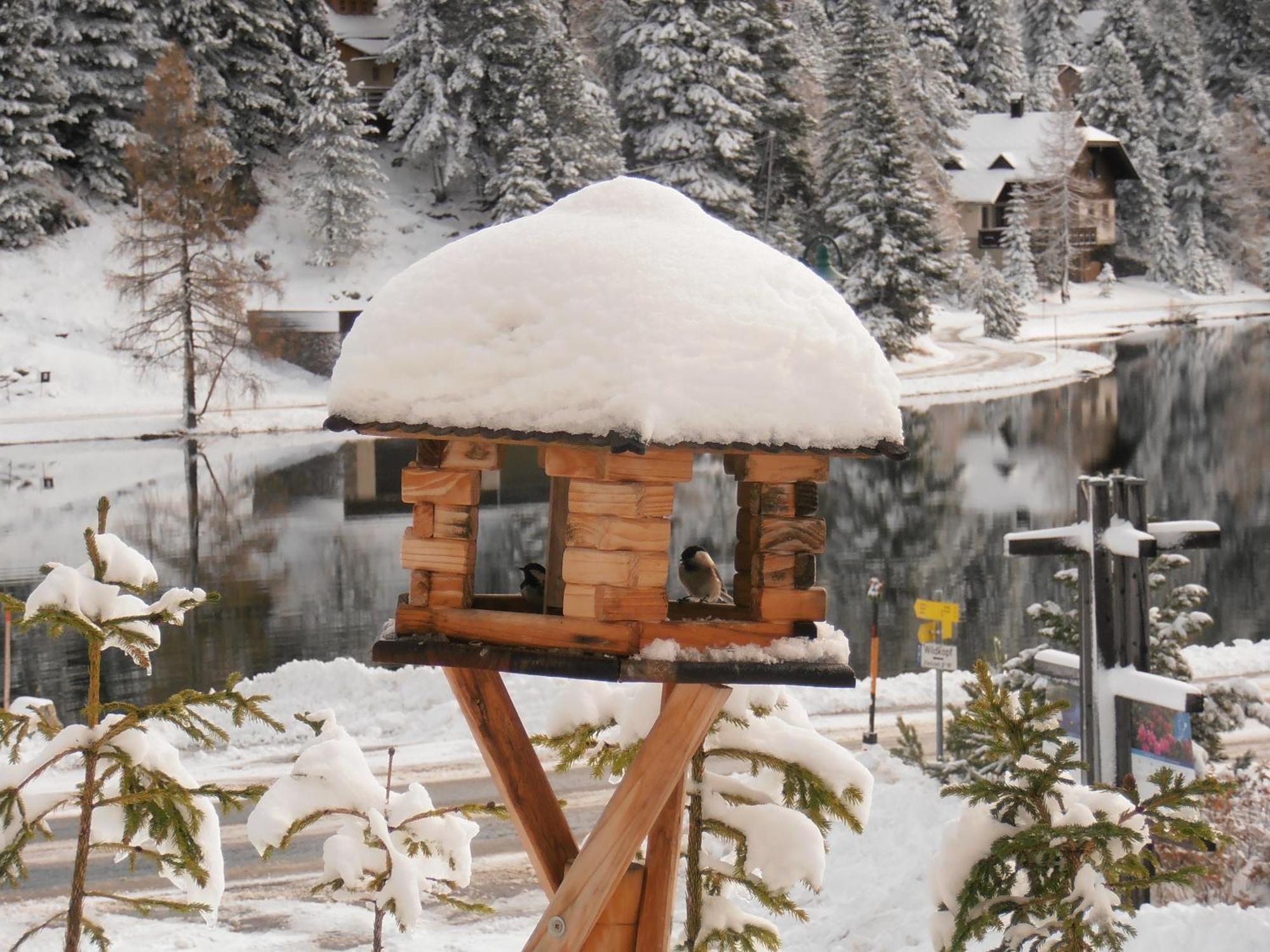 Appartamento Sundance Mountain Turracher Hohe